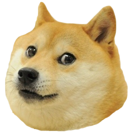 Doge